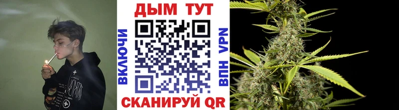 Бошки марихуана OG Kush Обоянь